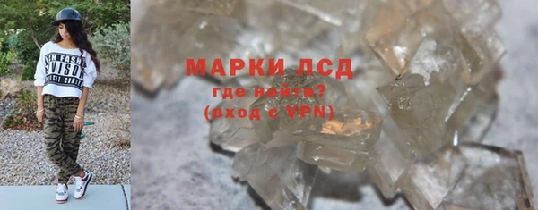 ПСИЛОЦИБИНОВЫЕ ГРИБЫ Инсар