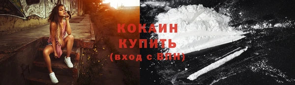 ПСИЛОЦИБИНОВЫЕ ГРИБЫ Инсар