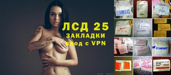 ПСИЛОЦИБИНОВЫЕ ГРИБЫ Инсар