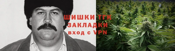 ПСИЛОЦИБИНОВЫЕ ГРИБЫ Инсар