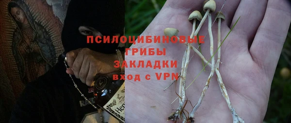 ПСИЛОЦИБИНОВЫЕ ГРИБЫ Инсар