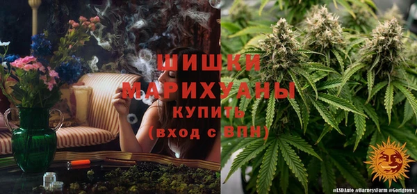 ПСИЛОЦИБИНОВЫЕ ГРИБЫ Инсар