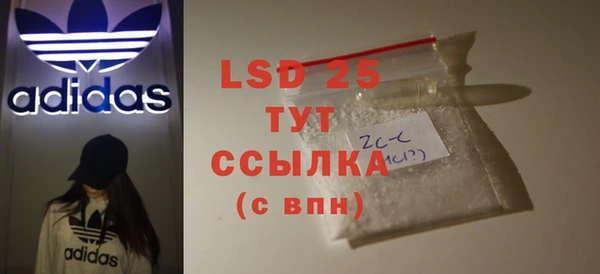 ПСИЛОЦИБИНОВЫЕ ГРИБЫ Инсар