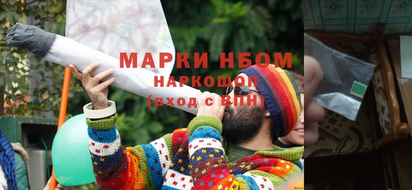 ПСИЛОЦИБИНОВЫЕ ГРИБЫ Инсар