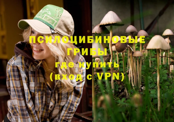 дживик Каменка
