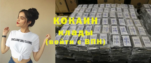 дживик Каменка