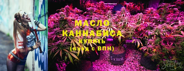 ПСИЛОЦИБИНОВЫЕ ГРИБЫ Инсар