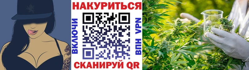 Марихуана сатива  Купить где  Приморск 